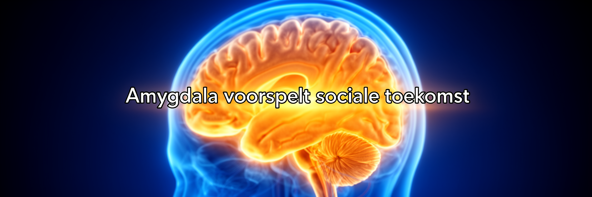 Amygdala en leeftijdsgesprek: hoe een hersengebied sociale ontwikkeling voorspelt bij jongens en meisjes