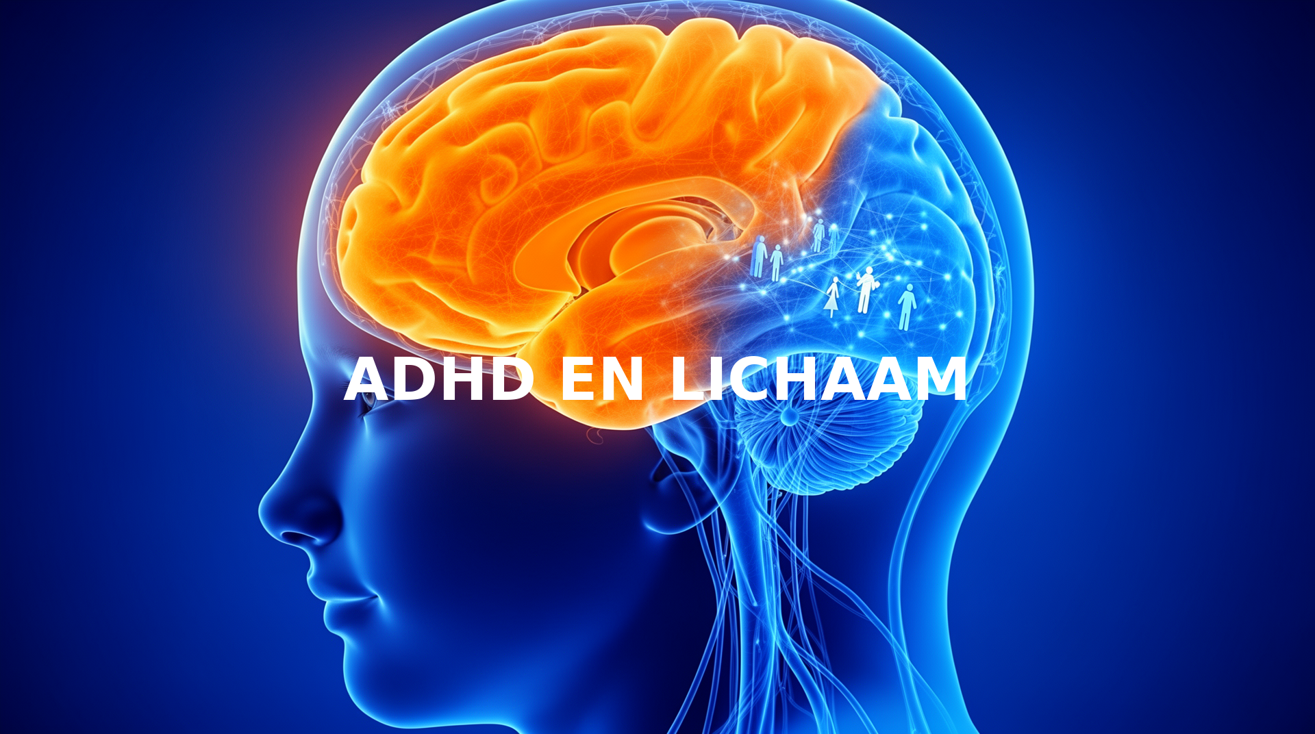 ADHD en het lichaam: wat de wetenschap zegt over de verbinding tussen hersenen en fysieke gezondheid